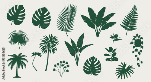Collection of various tropical leaves and plants silhouettes.