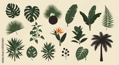 Tropical leaves and plants collection illustration.