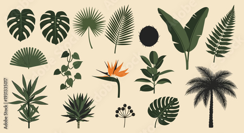 Collection of various tropical leaves and plants illustrations.
