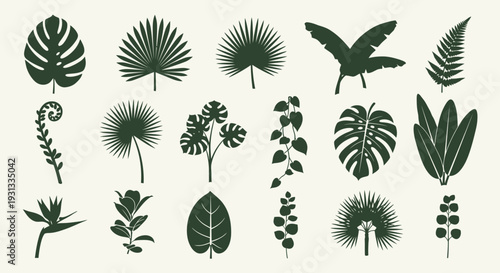 Collection of various tropical leaves and plants silhouettes.