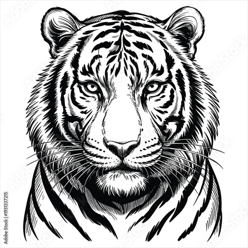 Detailed portrait of a tiger's face, powerful and majestic animal