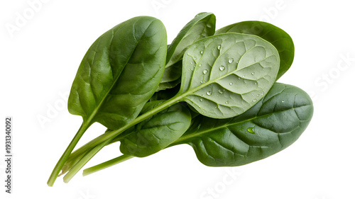 Fresh spinach leaves with water droplets on white background isolated on a transparent background