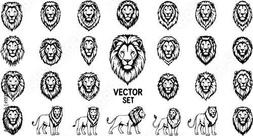 Detailed Vector Set of Lion Heads and Full Body Illustrations in Various Styles - Majestic African Wild Animal Designs for Logos, Tattoos, and Emblems