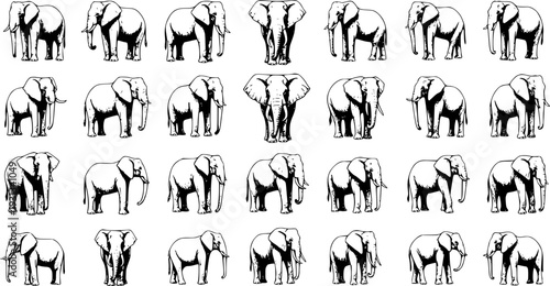 Diverse black and white line art elephant illustrations in various walking and standing poses, forming a repetitive pattern for wildlife, safari, and nature-themed graphic designs.