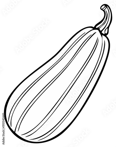 Illustration of a long zucchini squash, black and white line art