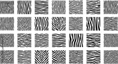 Zebra Stripe Patterns Vector Set. Collection of black and white animal fur prints, seamless striped textures for backgrounds, fashion, textile, and graphic design.