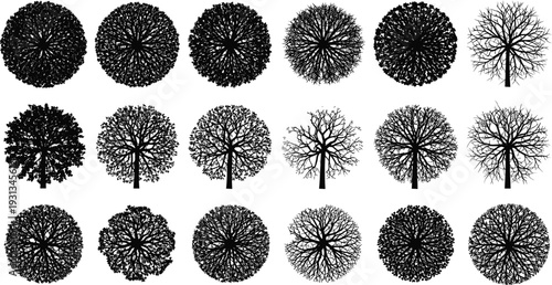 Tree top view and side silhouette collection, black vector forest canopy elements isolated on white background