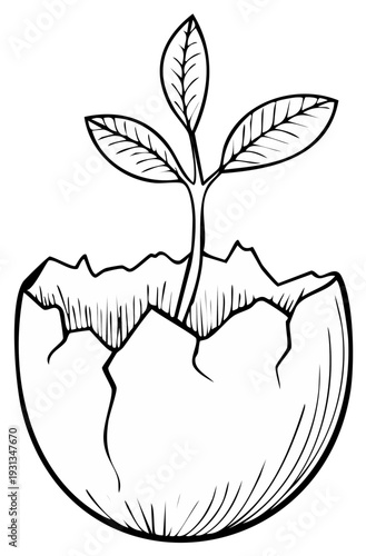 Delicate seedling emerges from cracked egg symbolizing new life growth and rebirth