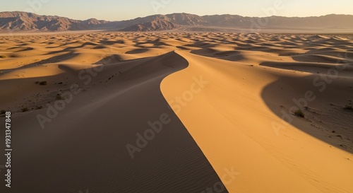 Wallpaper Mural Sand dunes in desert landscape with mountain range at sunset golden light casting shadows on sandy terrain arid environment with sparse vegetation Torontodigital.ca