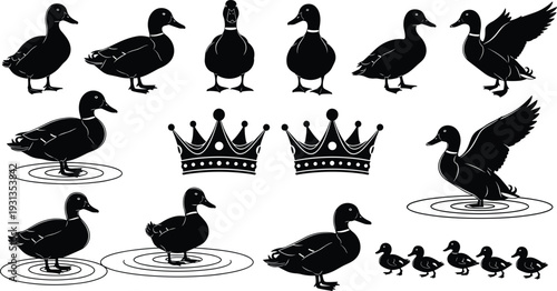 Duck silhouettes collection, flying ducks, swimming ducks, standing ducks, ducklings, crown icons, wildlife bird design, decorative animal art, nature symbol, flat vector illustration