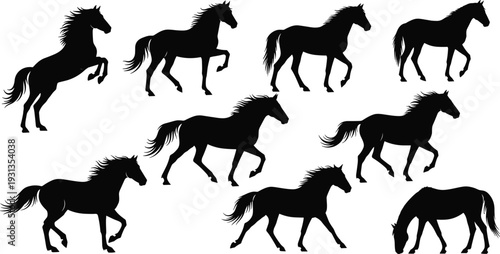 Horse silhouettes, equestrian icons, animal posture figures, gallop trot walk graze artwork, motion behavior design elements - flat vector illustration