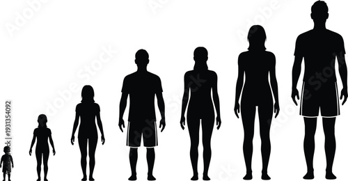 Human growth silhouettes, toddler child teen adult icons, age progression figures, development anatomy artwork, life stage design elements - flat vector illustration