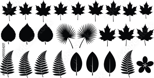 Leaf silhouette collection, maple fern palm heart shapes, botanical illustration design, flower vector artwork, foliage clipart set, flat vector illustration