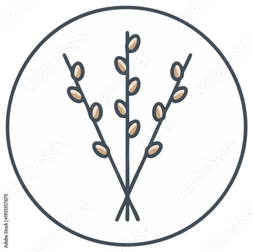 Pussy Willow Branches Icon Springtime Symbol Decorative Floral Illustration