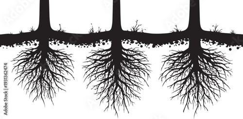 Black silhouettes of tree roots on white background illustration