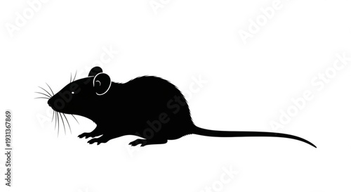 Black silhouette of a mouse with long whiskers and ears on white background side view simple illustration