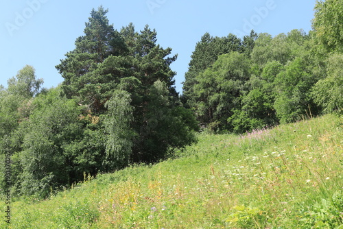 Tableau sur toile Alpine meadows on the slopes of Mount Cheget on a sunny summer day in the North Caucasus, Russia
