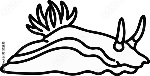 Stylized outline drawing of a sea slug with frilly gills and tentacles