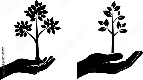 Hands nurturing young plants