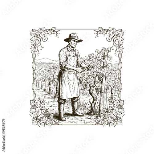 Vintage engraving illustration of a male farmer pruning grapevines in a vineyard inside a decorative grapevine frame.