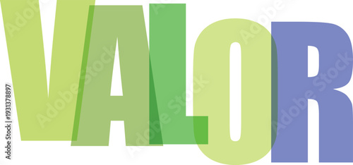 Valor tipografía moderna colorida diseño vectorial