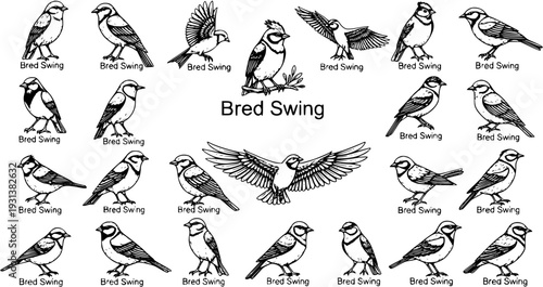 Black and white line art collection of various small birds, including sparrows and tits, shown flying and perched with "Bred Swing" text.