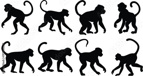 Set of eight black silhouette monkeys in various playful and active poses on a white background, vector illustration