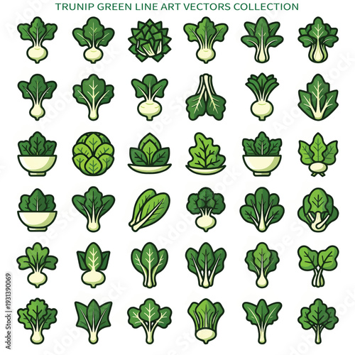 Fresh Green Turnip Leaves Illustration Isolated on White Background