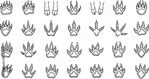 Detailed collection of various animal paw prints and footprints, including wild mammals, birds, and reptiles, represented as outline vector icons.