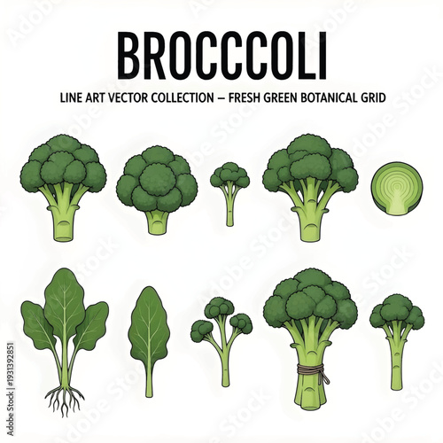 write title and tags with sperated comma for my adobe stock account on this key word"ICEBERG"