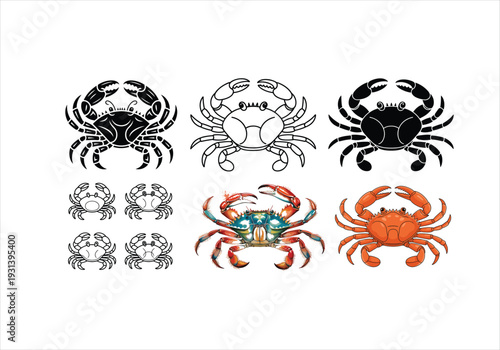 Collection of Crab Illustrations Silhouettes and Realistic Depictions on White Background