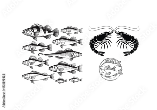 Collection of Fish and Shrimp Illustrations Seafood and Aquatic Life Icons Stock Graphics