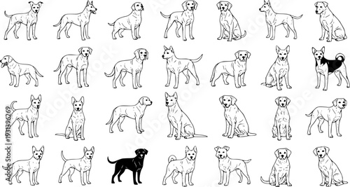 Collection of diverse black and white line art dog illustrations, featuring various breeds standing, sitting, and walking in different poses. Perfect for pet and animal designs.