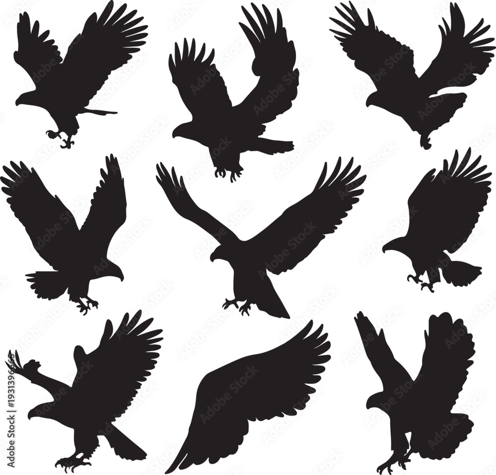 Obraz premium silhouettes of eagle