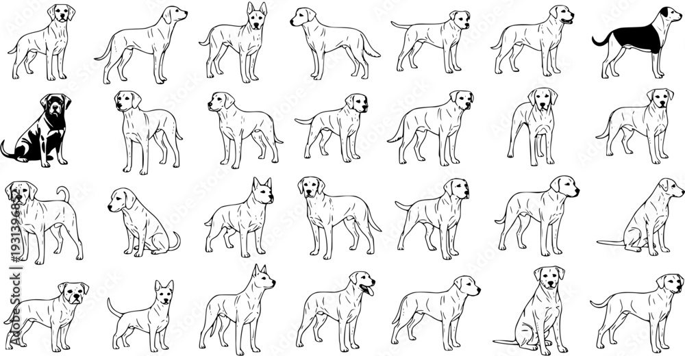 Obraz premium Collection of Dog Breeds and Poses, Outline Style