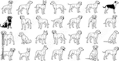 Collection of Dog Breeds and Poses, Outline Style
