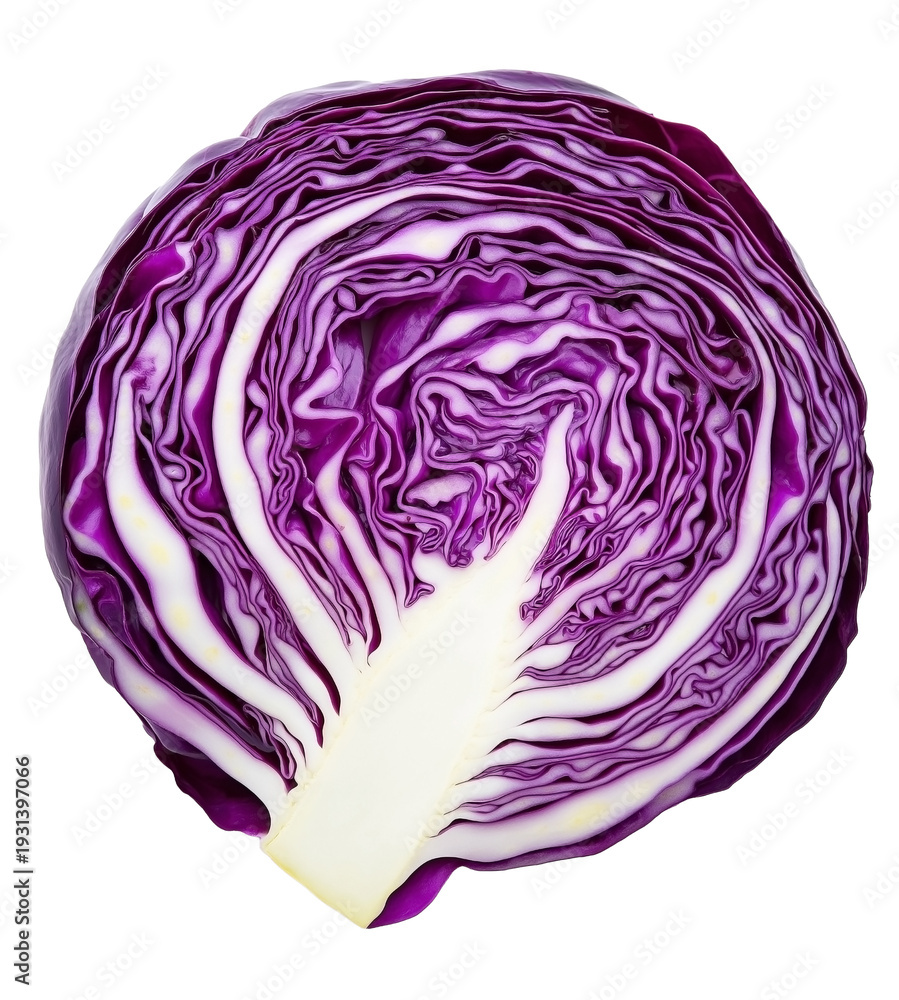 Obraz premium Vibrant Purple Cabbage Half Cut Showing Detailed Layers Isolated on White Background