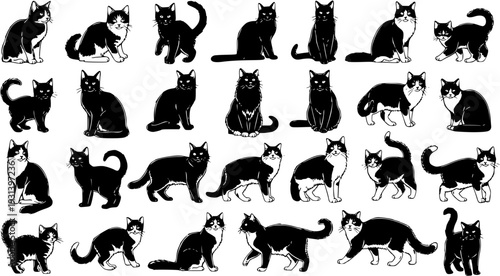 Collection of Black and White Cats - Vector Illustrations of Various Pet Felines in Different Poses, Isolated on White.