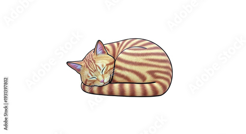 Sleeping Orange Tabby Cat Curled Up