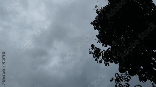 Timelapse-style movement of dark, ominous storm clouds in the sky with occasional birds soaring past.