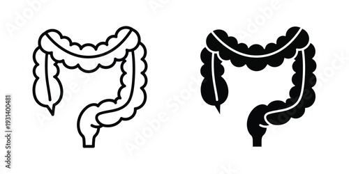 Colon Anatomy Icon Health Medical Diagram