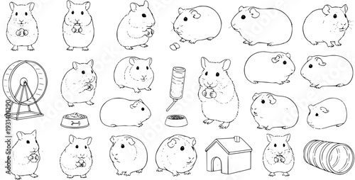 Detailed line art set of cute hamsters and guinea pigs in various poses, with pet accessories like a wheel, food bowl, water bottle, house, and tunnel. Black and white animal illustrations.