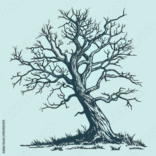Detailed illustration of a bare tree with intricate branches.