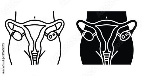 Female reproductive system anatomy icons showing uterus fallopian tubes and ovaries within torso outline for medical education healthcare and gynecological health