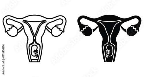 Female reproductive system anatomy icons showing uterus womb fallopian tubes ovaries and developing fetus embryo for pregnancy medical education healthcare biology