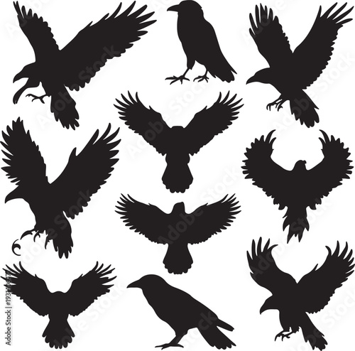 silhouettes of raven