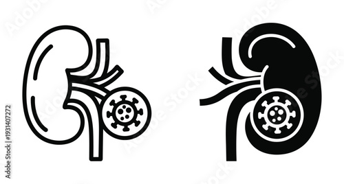 Kidney infection icon set showing human renal organ with virus or bacteria symbol representing nephrology disease inflammation and urinary tract health