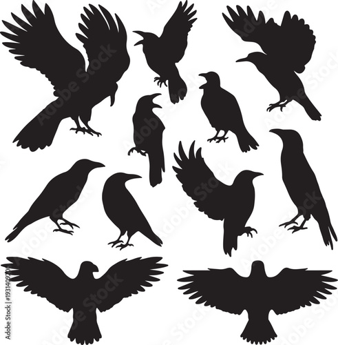 silhouettes of raven