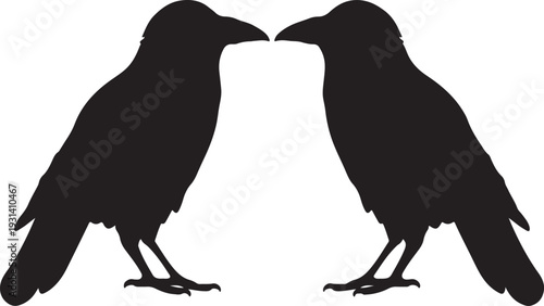 silhouette of a raven