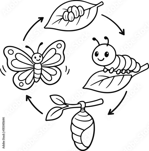 Butterfly Life Cycle Stages Cartoon Coloring Page with Caterpillar Chrysalis and Adult Insect Educational Outline Illustration for Kids